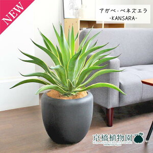 y30P5{IzAKxExlYG 8yJTJo[t/ubNzy~hTCYz