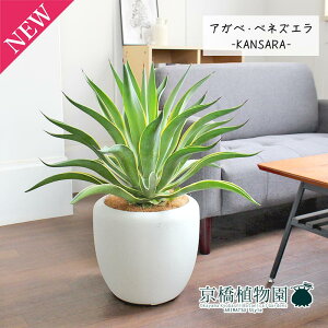 y1P7{IzAKxExlYG 8yJTJo[t/zCgzy~hTCYz