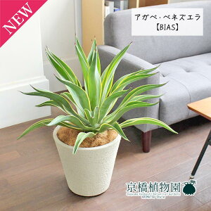 y30P5{IzAKxExlYG 8yrAXJo[t/zCgzy~hTCYz