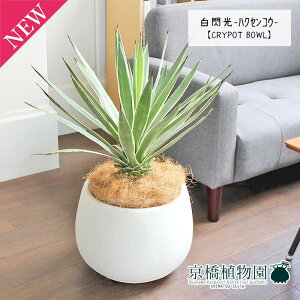 y30P5{IzAKx@MinNZREjy^z