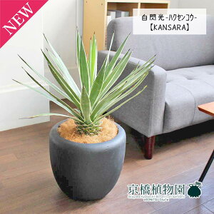 y30P5{IzAKx@MinNZREj 8yJTJo[/ubNzy~hTCYz