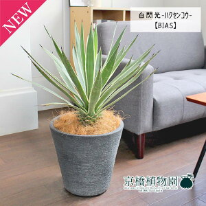 y30P5{IzAKx@MinNZREj 8yrAXJo[/ubNzy~hTCYz