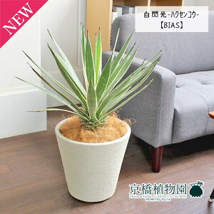 y5P5{IzySSN[|zySSizAKx@MinNZREj 8yrAXJo[/zCgzy~hTCYz