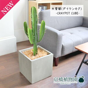 y30P5{Iz_ti_CEJNj7yNC|bgL[uJo[t/O[zy~hTCY/CeA/j/JXj/zj/Vzj/Mtg/v[g/Ă₷/