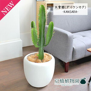 y25P5{IzyubNtCf[N[|LIz_ti_CEJNj7yJTJo[t/zCgzy~hTCY/CeA/j/JXj/zj/Vzj/Mtg/