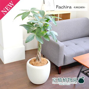 y1P7{IzpL7yJTJo[t/zCgzyϗtA/CeA//i`/A/蕨/yV/ʔ/^/~hTCY/lCiz