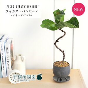 y}\N[|LIzyCIjA{EL/O[zJVoSmL or[m Ȃy󂯎MtzyϗtA@CeA  lC zj JXj Vzj j y