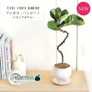 y}\N[|LIzyCIjA{EL/zCgzJVoSmL or[m Ȃy󂯎MtzyϗtA@CeA  lC zj JXj Vzj j 