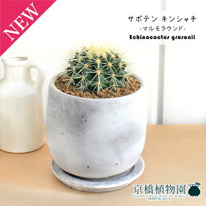 ySSN[|zySSizy}EhMTCYzT{e ́iLV`jy󂯎Mtz4GyϗtA/CeA//i`/A/蕨/yV/ʔ/X[TC