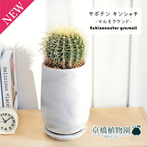 ySSN[|zy}Ehg[LTCYzT{e ́iLV`jy󂯎Mtz5GyϗtA/CeA//i`/A/蕨/yV/ʔ/X[TCY/