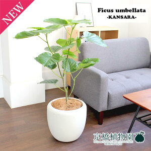 y30P5{IztBJXEEx[^7yJTJo[t/zCgzy~hTCY/CeA/j/JXj/zj/Vzj/Mtg/v[g/Ă₷/ϗtA/yV