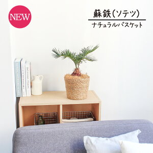 ySSN[|zyi`oXPbgJo[zhSi\ecj 5 y󂯎MtzyX[TCY//CeA/j/JXj/zj/Vzj/Mtg/v[g/Ă₷