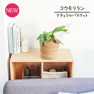 y5P5{IzySSN[|zySSizyi`oXPbgJo[zREErtJc@5 y󂯎MtzyrJNV_zyX[TCY//CeA/j/