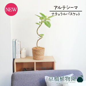 y30P5{Izyi`oXPbgJo[ztBJXEAeV[}@6@Ȃ y󂯎Mtzy~hTCY/CeA/j/JXj/zj/Vzj/Mtg/v[g/