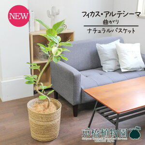 y30P5{Izyi`oXPbgJo[ztBJXEAeV[}@7@Ȃy󂯎Mtzy~hTCY/CeA/j/JXj/zj/Vzj/Mtg/v[g/