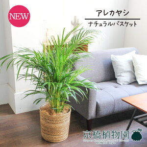 ySSN[|zySSizyi`oXPbgJo[zAJV@8y󂯎Mtzy~hTCYz