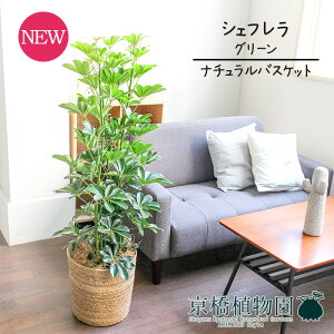 y25P5{IzyubNtCf[N[|LIzyi`oXPbgJo[zVFt@O[@8y󂯎MtzyzRJ|bNzyhtJmLzy~hTCY