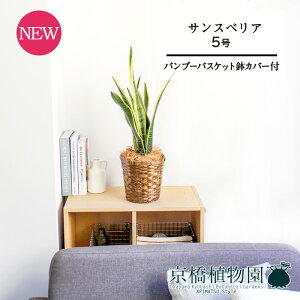 y1P7{zyou[oXPbgJo[zTXxAE[`@5y󂯎MtzyX[TCY/|/JSt/uE/Mtg/v[g/j/Ă₷/ϗtA/yV/