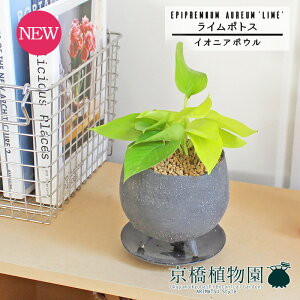 yCIjA{EL/O[zC|gXy󂯎MtzpotyCeA  lC yV ʔ Mtg v[g Vv JCC  Ă₷    i̕x ؂₩