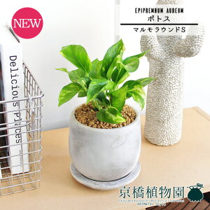 y5P5{IzySSN[|zySSizy}EhSz|gXy󂯎MtzpotyCeA  lC yV ʔ Mtg v[g Vv JCC  Ă₷ 