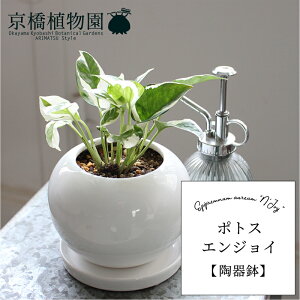 |gXEGWCy픫/󂯎MtzyX[TCY/h}Cg//zCgz