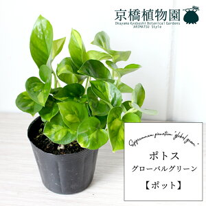 y30P5{Izy|bgz|gXEO[oO[yX[TCYz