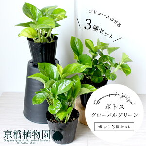 y25P5{IzyubNtCf[N[|LIzy|bg3Zbgz|gXEO[oO[yX[TCYz