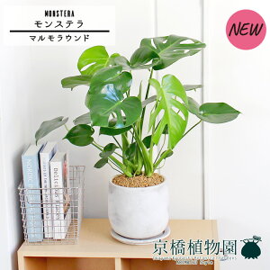 y}EhLzXe y󂯎Mtz5GyVv ~hTCY GL]`bN I j zj JXj Vzj ]j j Ă₷ Mtg v[g z