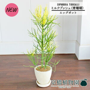 y1P7{IzyGbO|bg/AC{[z~NubViXjyՂ肽܂^̔z7GyϗtA A CeA  lC zj JXj Vzj ]j j