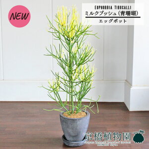 y1P7{IzyGbO|bg/O[z~NubViXjyՂ肽܂^̔z7GyϗtA A CeA  lC zj JXj Vzj ]j j 