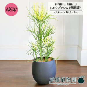 ySSN[|zyo[Jo[t/AeB[NuEz~NubViXj7y~hTCY/CeA/j/JXj/zj/Vzj/Mtg/v[g/Ă