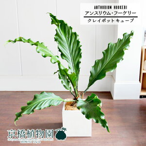 y5P5{IzySSN[|zySSizAXEEt?P[ 8yNC|bgL[uJo[t/zCgzy~hTCYz