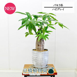 yubNtCf[N[|LIzynsOCzpL@p@5GyϗtA/CeA//i`/A/蕨/X[TCY/lCi/Mtg/v[g/^z