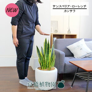 y1P7{IzyJTJo[t/zCgzTXxAE[`@7yϗtA/CeA//i`/A/蕨/yV/ʔ/~hTCY/Vv/lCi/z