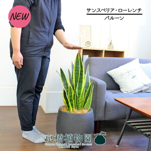 y1P7{Izyo[Jo[t/AeB[NuEzTXxAE[`@7yϗtA/CeA//i`/A/蕨/yV/ʔ/~hTCY/Vv