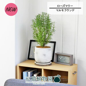 yubNtCf[N[|LIzy}EhLz[Y}[yϗtA/CeA//i`/A/蕨/yV/ʔ/X[TCY/lCi/Mtg/v[gz4