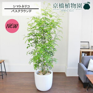 y30P5{IzV}glR 10yoXNEhJo[/zCgzy[WTCYz