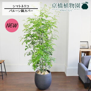 V}glR 10yo[Jo[t/AeB[NuEzy[WTCYz