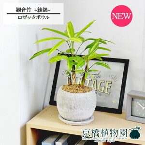 y[b^{ESTCY/zCgzω|iJm`Nj --@yϗtA/CeA//i`/A/蕨/yV/ʔ/X[TCY/lCi/Mtg/v[gz4G