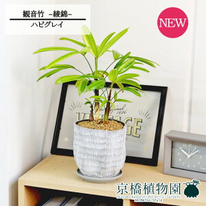 yubNtCf[N[|LIzynsOCzω|iJm`Nj --@yϗtA/CeA//i`/A/蕨/yV/ʔ/X[TCY/lCi/Mtg