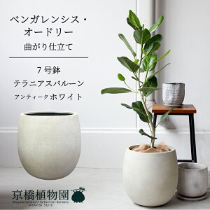 yo[Jo[FAeB[NzCgztBJXExKVXEI[h[ 7ytATCY/xKS/Vv/zCg//A/Mtg/v[g/j/V/