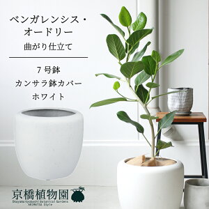 yJTJo[FzCgztBJXExKVXEI[h[ 7ytATCY/xKS/Vv/zCg//A/Mtg/v[g/j/V//ϗt/A