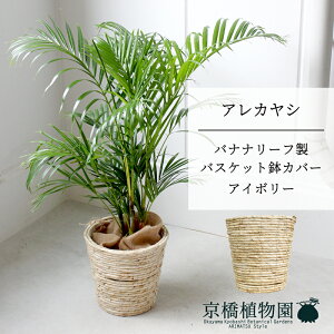 y5P5{IzySSN[|zyoXPbgJo[FAC{[zAJV@7@6Gy~hTCY/u/j/Vzj/Ă₷/ϗtA/V/zCg/zy^z