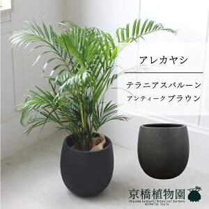 y5P5{IzySSN[|zyo[Jo[FAeB[NuEzAJV@6y~hTCY/u/j/Vzj/Ă₷/ϗtA/V/ubN/zy^z