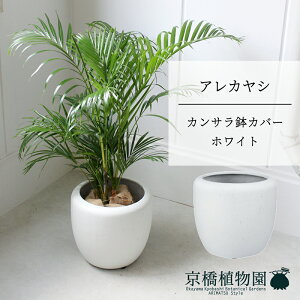 ySSN[|zySSizyJTJo[FzCgzAJV@6y~hTCY/u/j/Vzj/Ă₷/ϗtA/V/zCg/zy^z