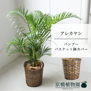 ySSN[|zySSizyou[oXPbgJo[zAJV@6y~hTCY/u/j/Vzj/Ă₷/ϗtA/V//|zy^z