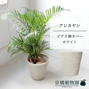 y5P5{IzySSN[|zySSizyrAXJo[FzCgzAJV@6y~hTCY/u/j/Vzj/Ă₷/ϗtA/V/zCg/zy^z