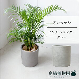 ySSN[|zySSizy\NV_[FEH[O[zAJV@6y~hTCY/u/j/Vzj/Ă₷/ϗtA/V/uE/zy^z