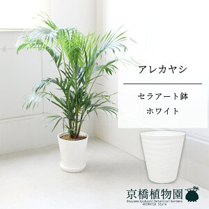 y5P5{IzySSN[|zyZA[gFzCgzAJV@7@6Gy~hTCY/u/j/Vzj/Ă₷/ϗtA/V/zCg/zy^z