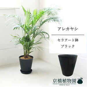 y5P5{IzySSN[|zySSizyZA[gFubNzAJV@7@6Gy~hTCY/u/j/Vzj/Ă₷/ϗtA/V/ubN/zy^z